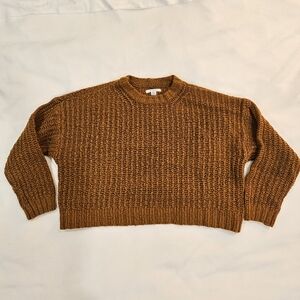 American Eagle Sweater in Burnt Umber